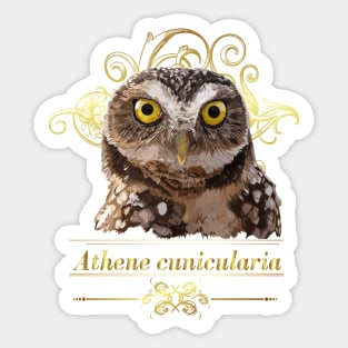 Owl Sticker